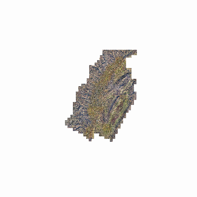 Export Image