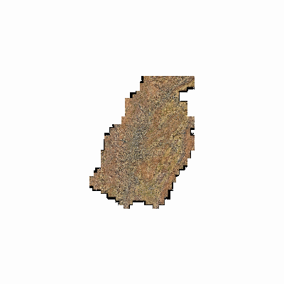 Export Image